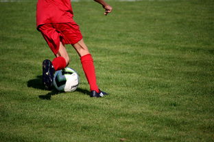 中国米兰官方-篮球运动员专项技能训练课程体系创新探索，篮球专项训练方案