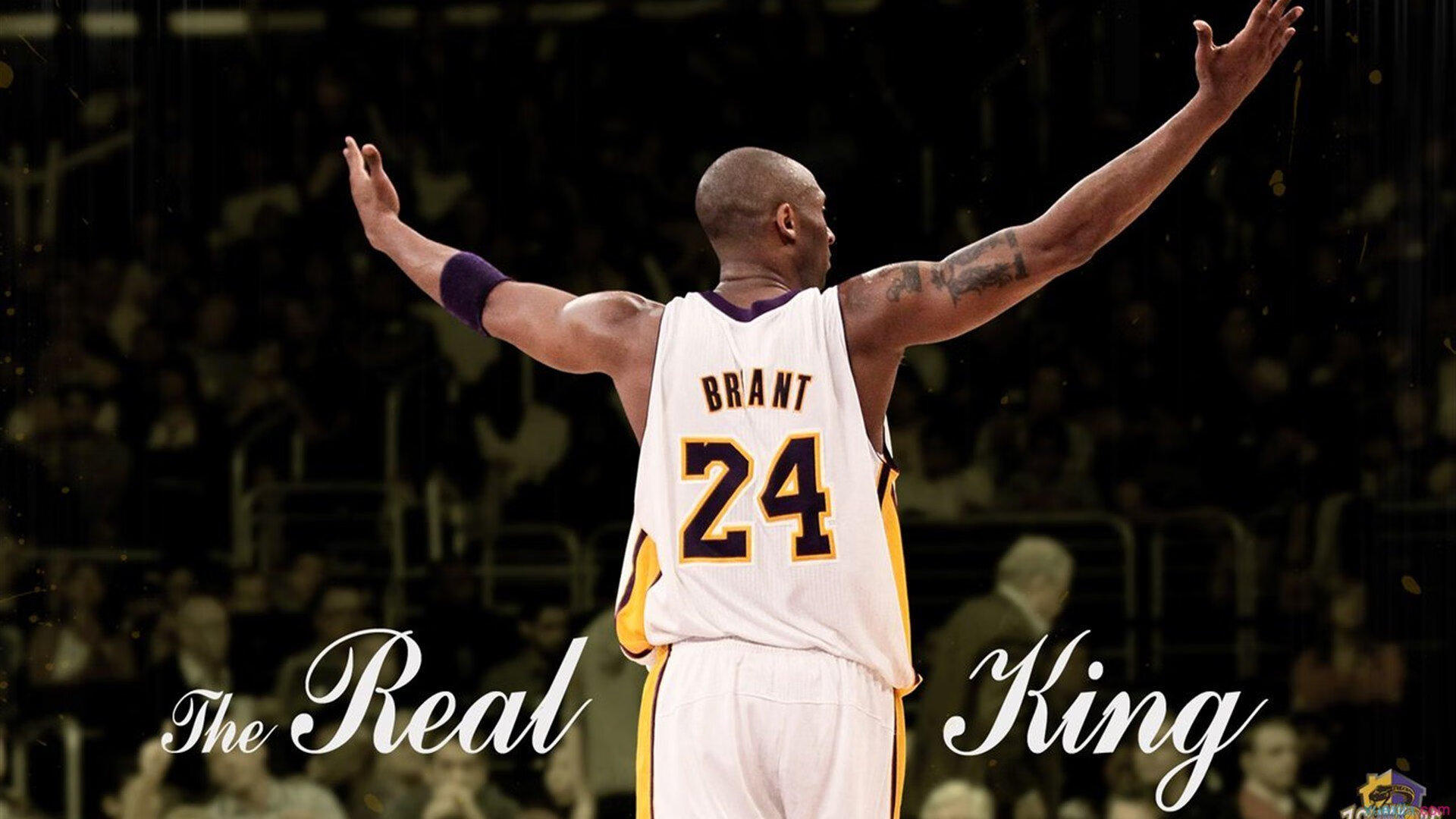 世界杯期间多对情侣在球场求婚 成“最浪漫看台瞬间”