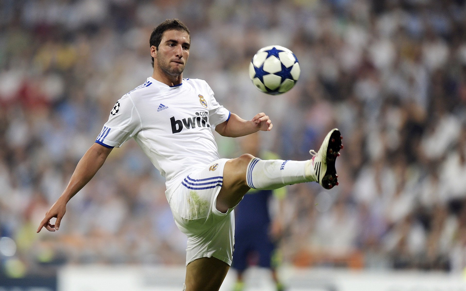 体育赛事年度统计报告